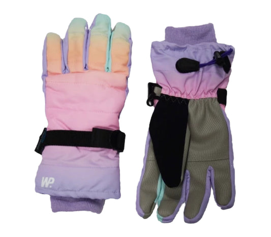 Winter Proof Touch Gloves-FA24