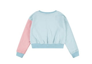 Levi’s Colorblock Crew Neck-S24